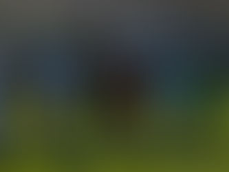 Hart erkämpftes 2:2-Unentschieden in letzter Sekunde!