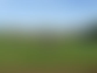 Bittere 1:2-Heimniederlage trotz toller Moral