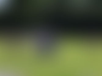 Emotionale Abschiede trotz Heimniederlage