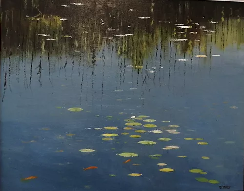 Water lilies, Brooke park 1150.webp