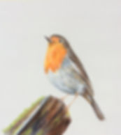 image3.jpeg