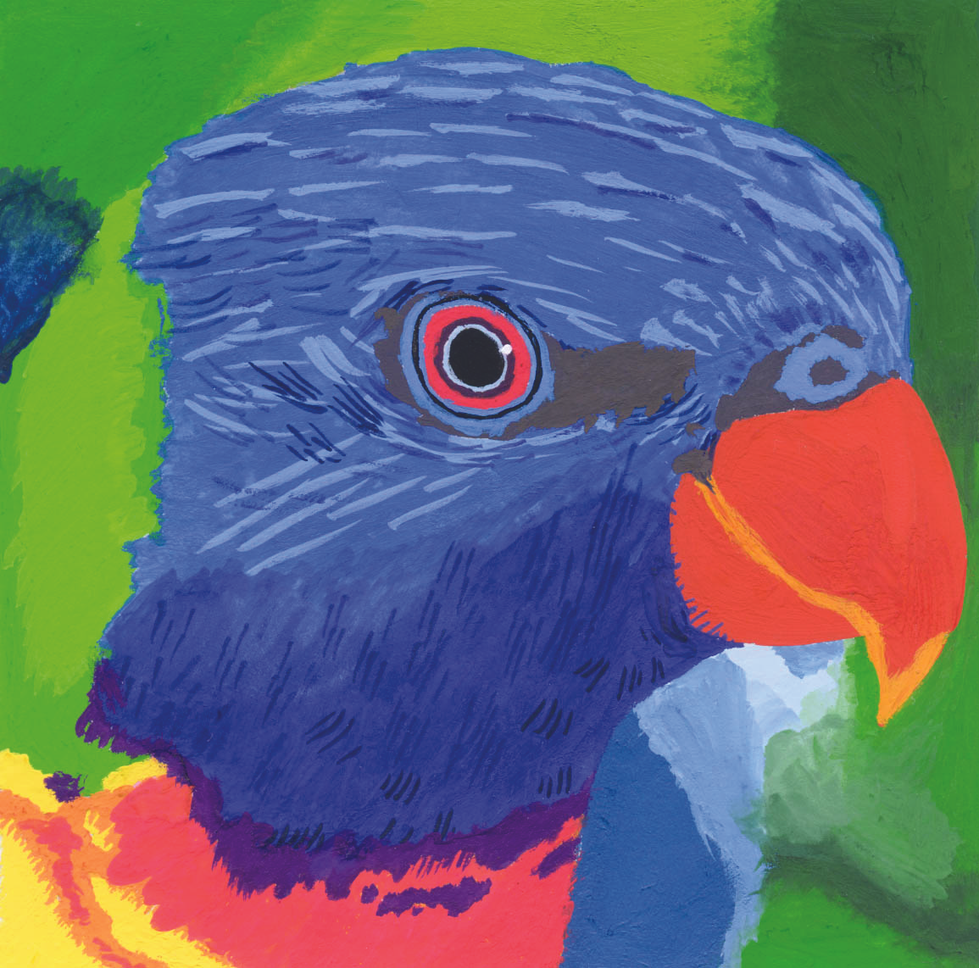 Rainbow Lorikeet Illustration - Gouache.