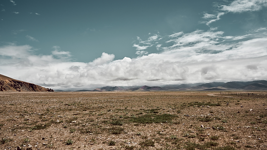 Untitled design (85).png