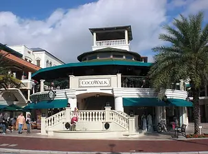 coconut grove use.webp