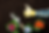 Fertilizer Soil Concept 00025.png