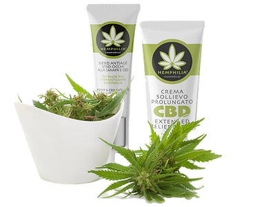 original (4)_edited.png