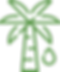 frr.png