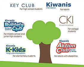 branches (1).PNG