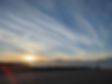 PXL_20250219_134816654.jpg
