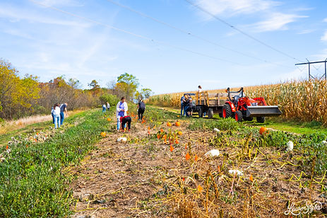 EyersPumpkinPatch2024-8.jpg