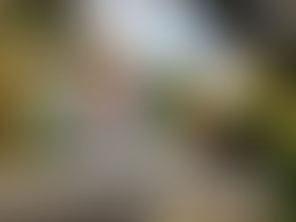 Charleston Charm: Our Favorite Things to Do in the Holy City