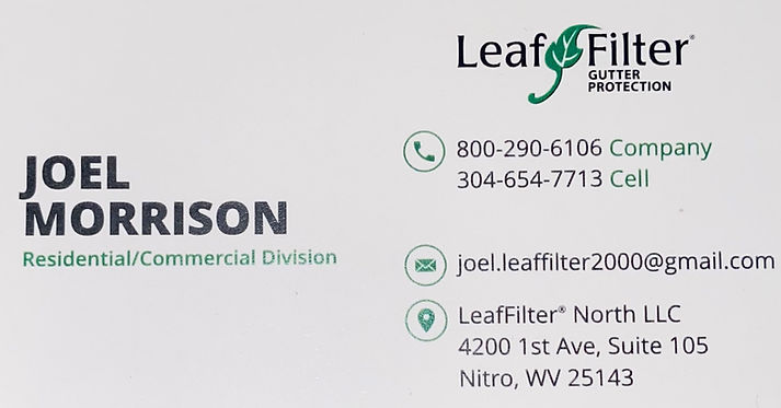 Joel Morrison - Leaf Filter_edited.jpg