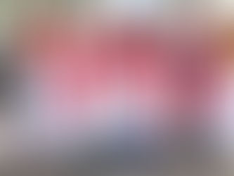 Haïti-Éducation: 18 diplômés de la promotion 2016-2020 du CFEF reçoivent leur diplôme