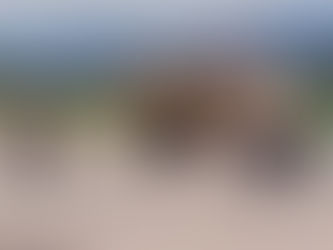 Haïti-MMSS : Arrivée de nouveaux blindés ce samedi, la population haïtienne s'impatiente