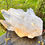 Thumbnail: 21KG Lemurian Clear Quartz Cluster