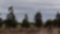 20191013_094328.jpg