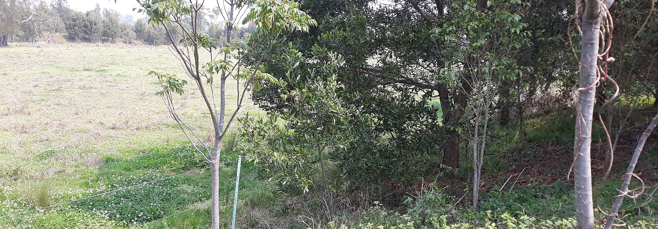 20190925_113616.jpg