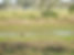 DSCF4570.JPG