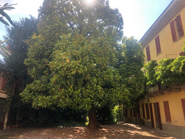 Miniatura: Appiano Gentile