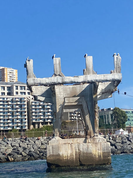 LAS GAVIOTAS YA NO CANTAN