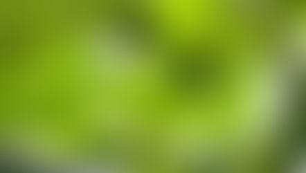 色付いてきました🍇