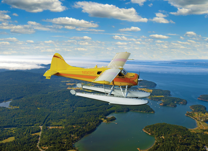 Seattle Whale Watching | Seaplane Package to Friday Harbor, WA
