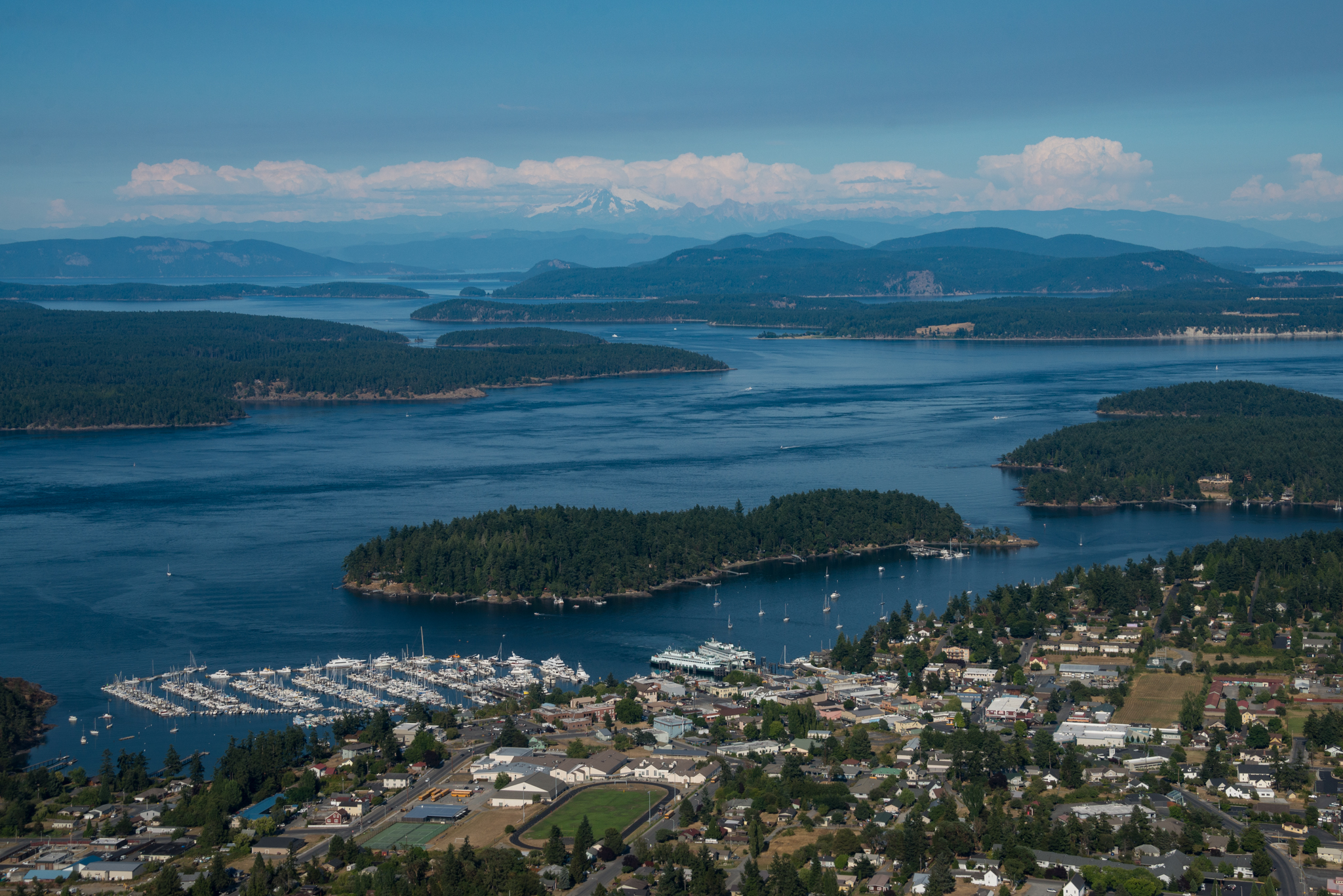 Seattle Whale Watching | Seaplane Package to Friday Harbor, WA