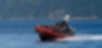 TLW_1240-3.jpg