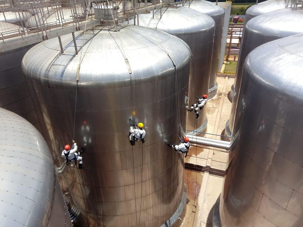 WhatsApp Image 2025-10-30 at 12.13.30.jpeg