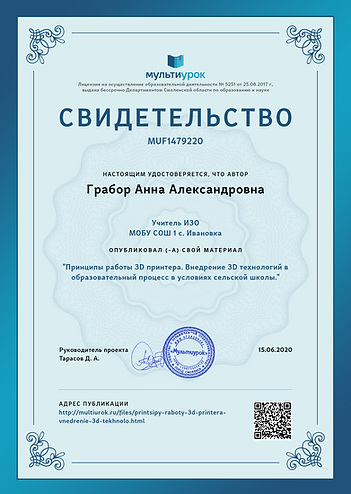 Свидетельство Принципы работы 3D принтер