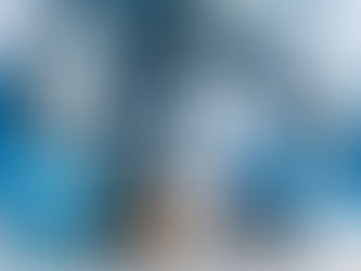 UNDER the SCOPE: Tight Ends