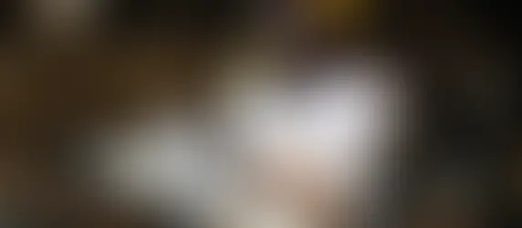 WELCOME to the U, Milan Parris!