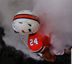 photo-Homer in smoke - top down