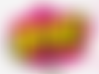 Miami drops WR Ah'Mari Stevens 