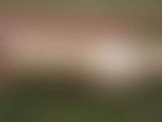 Canes clinch series with 4-3 win