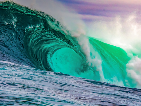 NEXT WAVE… 6.0