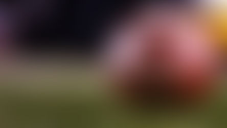 Miami - South Carolina series cancelled