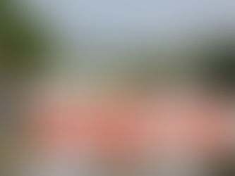 Nine Canes drafted! Are we back?