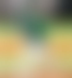 Canes drop opener, 9-2