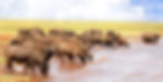 lake_kariba-istock-626516286.jpg