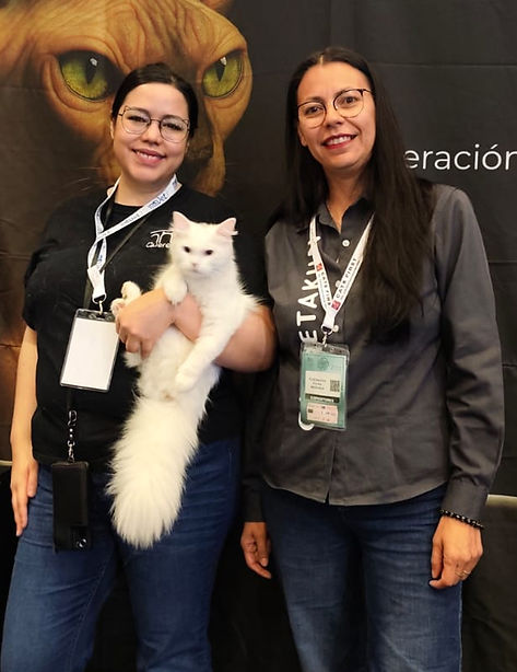 NACION-2.jpg