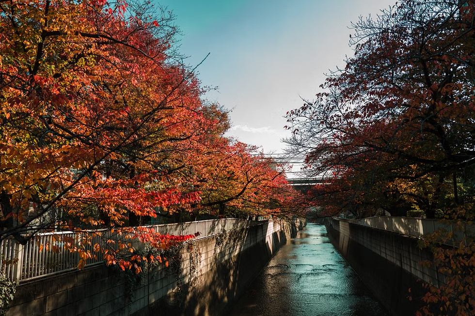 Tokyo