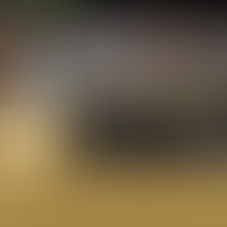 stage parage, shiatsu, étho 2025