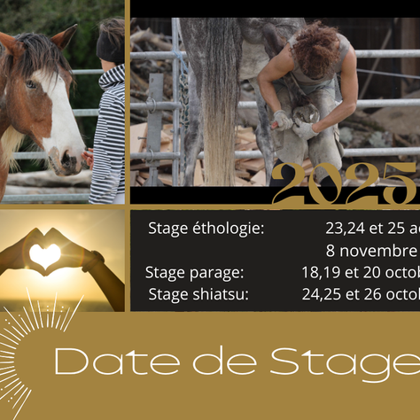 stage parage, shiatsu, étho 2025