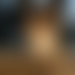 Stage haras de st hilaire