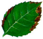 AEn0k_uhufmRJL7ULqIrod8nEHVyOWJiroHHlXMkToSgDxMl8FuLIkkzc1verzlrB5kb46nM21HTssk-uH2koB8mqZ