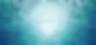 fishcircle_2000x952_09cd941e-e1e9-4ed6-9b93-a94166e9c37f.webp