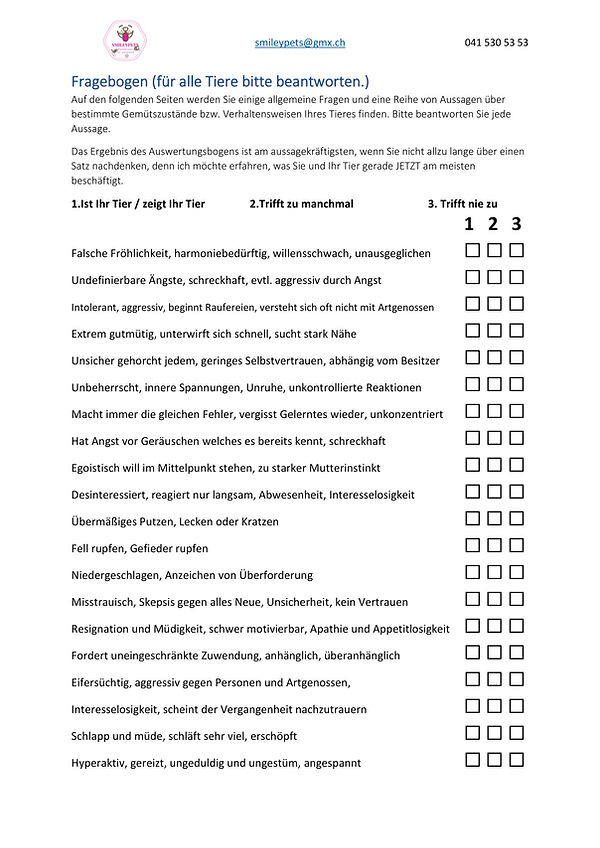 Fragebogen BB_0005.jpg