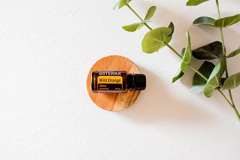 Discover the natural vibrancy of doTERRA Wild Orange Essential Oil. Cold-pressed from the peel of the finest citrus sinensis, this pure and invigorating essential oil is your go-to for an uplifting aroma. Immerse yourself in the sweet, zesty scent of Wild Orange, known to promote positivity and boost energy. Whether diffused, applied topically, or even added to culinary creations, doTERRA Wild Orange Oil is your ticket to a brighter day and a refreshing burst of natural vitality. Embrace the power of nature's sunshine in a bottle with doTERRA Wild Orange Essential Oil.