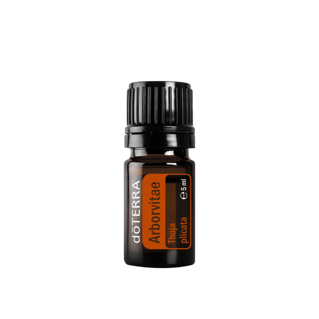 doTERRA Arborvitae 5ml | Lebensbaum
